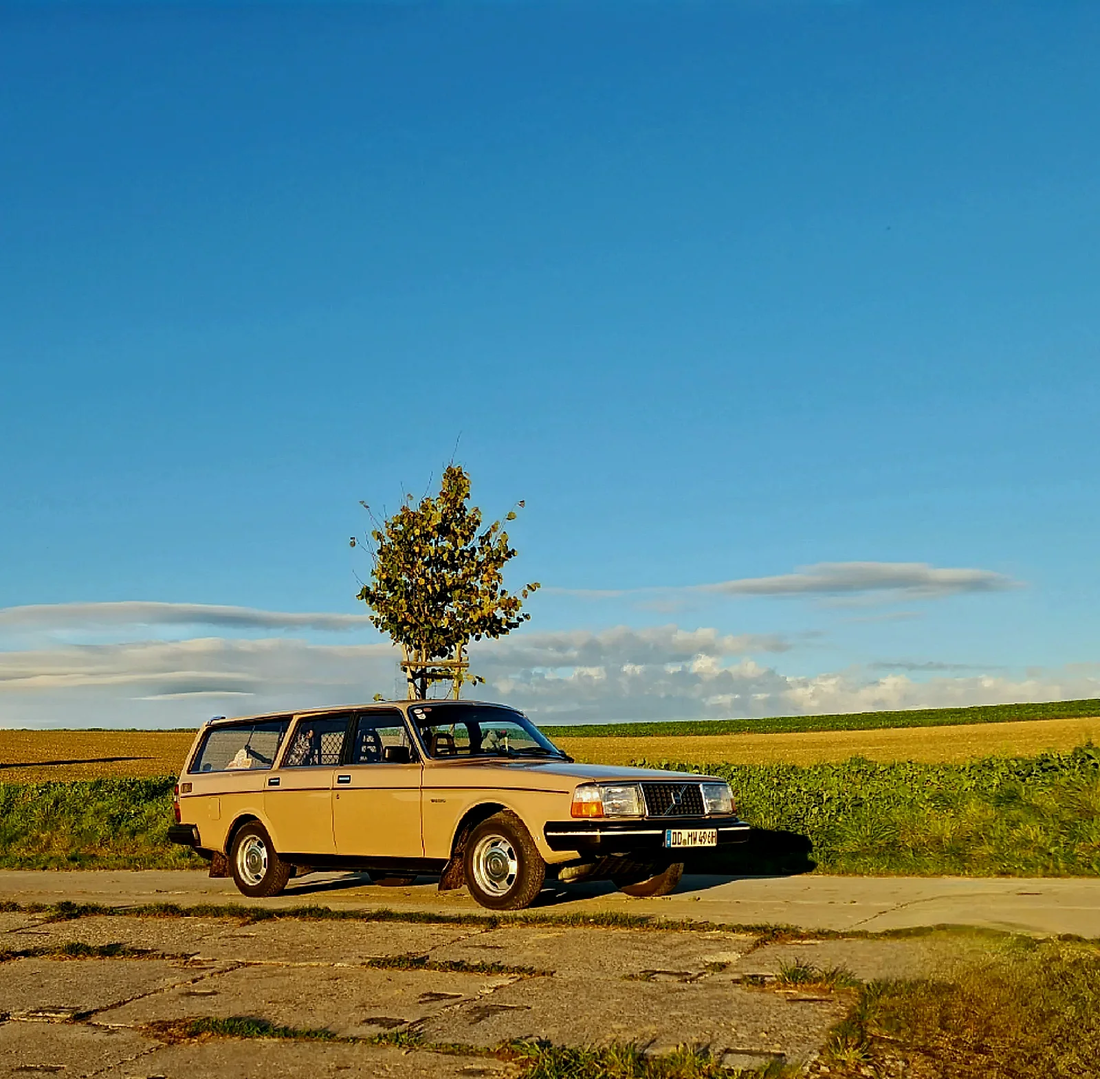 Volvo 240