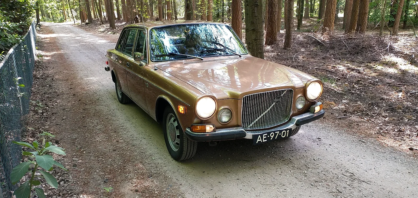 Volvo 164