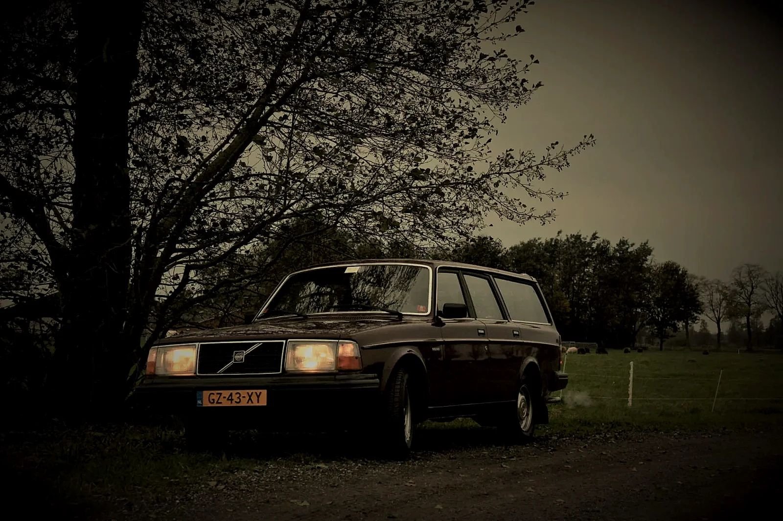 Volvo 240 1981