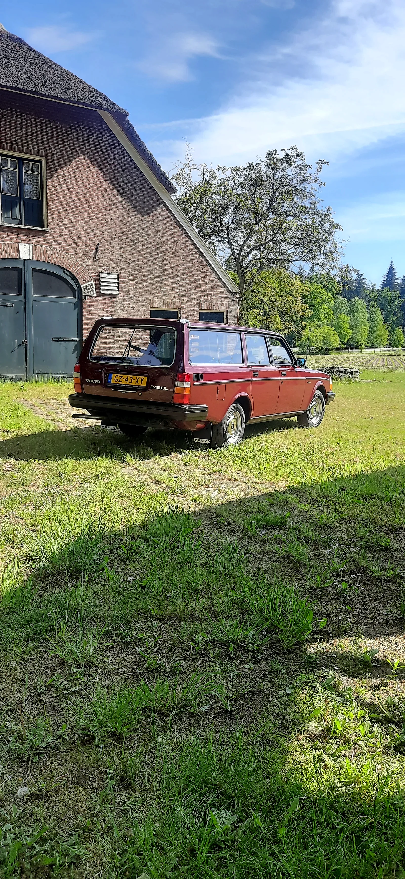 Volvo 240 1981